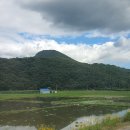 마성파출소 이미지