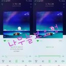 나무늘보;요정