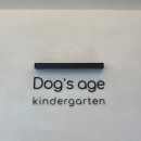 독스에이지(in a Dog's age) 이미지