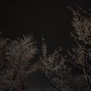 윤 오토캠핑장 이미지