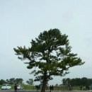 웰빙축산 이미지