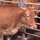 소동농장 이미지