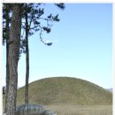 예덕리고분군 이미지