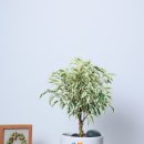 이동농협주간보호센터 이미지