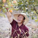 매남이길 이미지