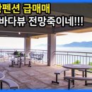 2탄 포항펜션급매물 전객실 바다뷰 전망 죽이네 이미지