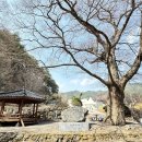 문수골권역마을 이미지