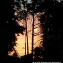 백의민족 이미지