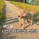 본포생태공원(다목적광장) | 다산생태공원 반려견 동반 - 서울 근교 강아지 나들이 장소 추천, 맛집 연꽃언덕