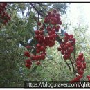 해빛로29 이미지