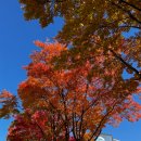 후아닝짬뽕 이미지