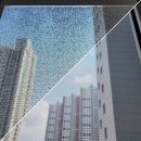 풍무동 센트럴푸르지오 미세촘촘망 미세방충망 방충망교체보수