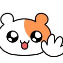 마키마키대구
