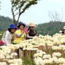 홍길동낚시터 이미지