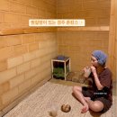 나리길한옥황토풀펜션 | 경주 찜질방 촌캉스 숙소, 가성비 독채 풀빌라 나리길 한옥펜션