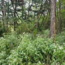 재아건설 이미지