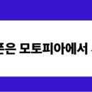 성지인력 이미지