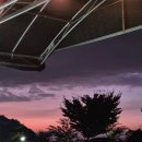 도고온천모두캠핑장 | 충남 아산 도고온천모두캠핑장 소규모 캠핑 전체대관 후기 반려동물동반 대형견