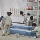 오감통 실내공연장 | 강릉 이색 키즈카페 바니바니 후기,오감체험 놀이 실내놀이터