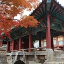 순천-59호 이미지