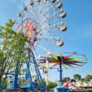 옛섬진강 | 2026 곡성 장미축제 앞두고 미리 다녀온 섬진강 기차마을