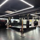 용인대스타체육관 이미지