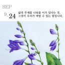 아트워크
