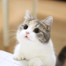 나우.스터디카페 이미지