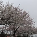 사창1리 이미지