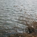 아지랑이 이미지