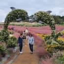 노을정원 이미지