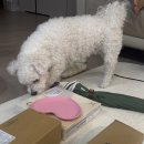 스타벅스 온라인 스토어 가정의달 행사 신상 MD 구매 후기 (+2만원 할인쿠폰)