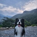 똑순이하우스 이미지