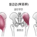 와이필라앤피티 이미지