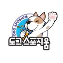 해피도그 이미지