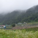제천시 봉양읍 탁사정인근 구름이 머무는마을 계획관리지역토지 급매매 1,805㎡(546평) 9,200만원 이미지