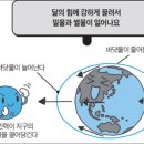 밀물때 횟집 네이버블로그