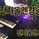 나미나라공화국.남이섬을 찾아서~~~ 이미지