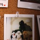 하프잇댕 이미지