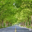 담양관광정보센터 이미지