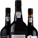 세계 와인 인문학 이미지