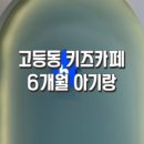 원더빌 키즈카페 이미지
