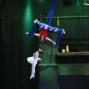 제주 스카이워터쇼 이미지