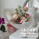 위티스튜디오 이미지
