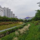 장지천 화장실 이미지