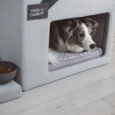 애견하우스 이미지