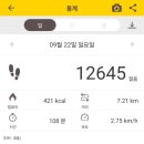 세라젬웰파크 이미지