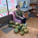 고려이용소 Daum카페