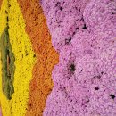 국회막말의 법적기준 만들고 불체포 특권 소멸시켜야..현재는 SNS를 통해 직접민주주의 가능한 형태.... 이미지