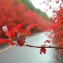 탐라대학교 이미지